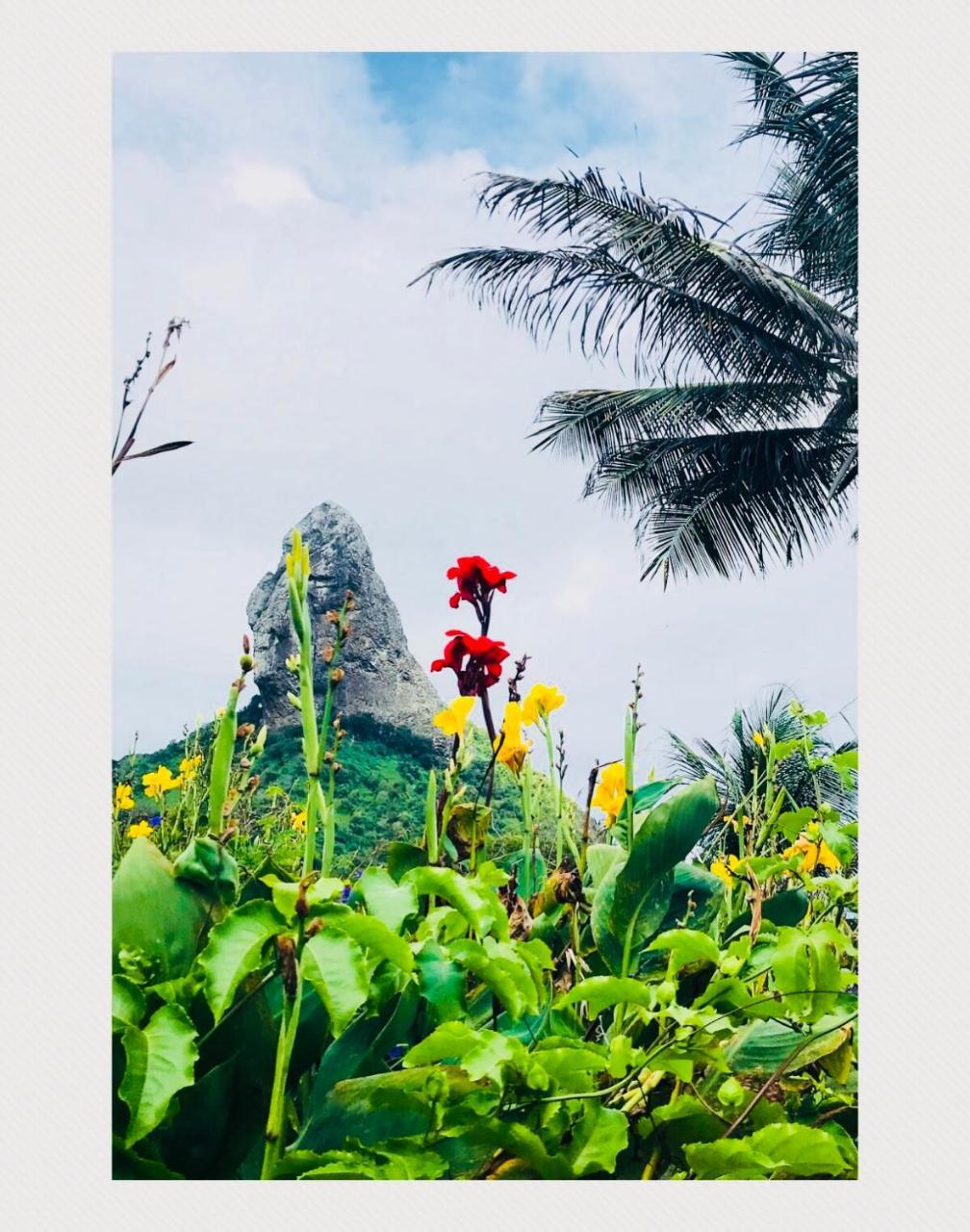 Pousada Morro Do Pico Фернанду-де-Нороння Екстер'єр фото